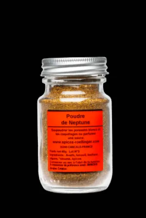 Sale Épices Rœllinger Poudre de Neptune